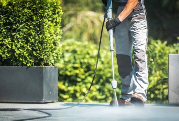 Pre-Holiday Cleaning in Waterman, IL