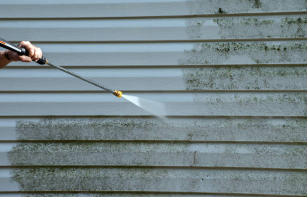 Best Fence Cleaning  in Waterman, IL